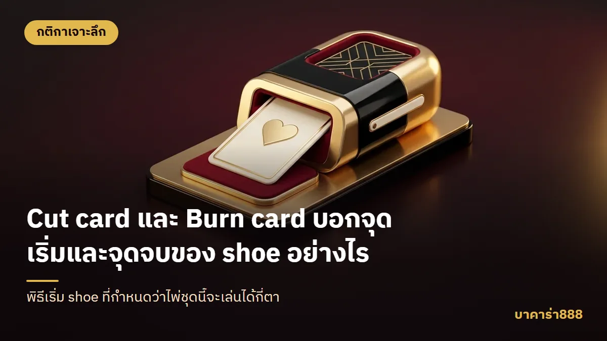 ภาพประกอบบทความ Cut card และ Burn card บอกจุดเริ่มและจุดจบของ shoe อย่างไร